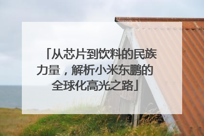 从芯片到饮料的民族力量，解析小米东鹏的全球化高光之路
