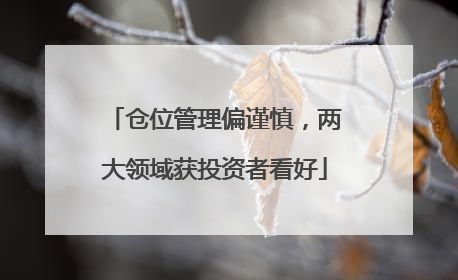 仓位管理偏谨慎，两大领域获投资者看好