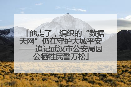 他走了，编织的“数据天网”仍在守护大城平安——追记武汉市公安局因公牺牲民警万松