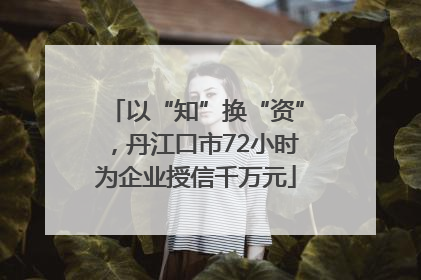 以“知”换“资”，丹江口市72小时为企业授信千万元