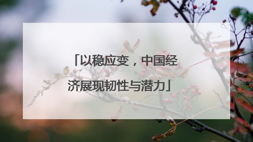 以稳应变,中国经济展现韧性与潜力