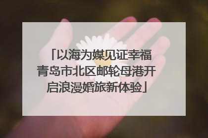 以海为媒见证幸福 青岛市北区邮轮母港开启浪漫婚旅新体验
