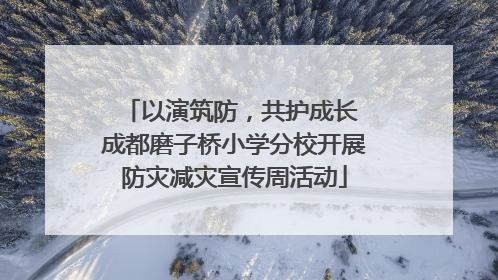 以演筑防，共护成长 成都磨子桥小学分校开展防灾减灾宣传周活动