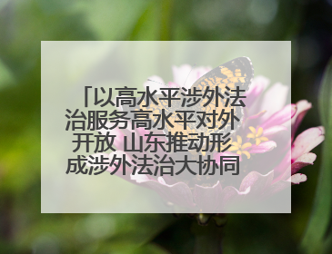 以高水平涉外法治服务高水平对外开放 山东推动形成涉外法治大协同工作格局