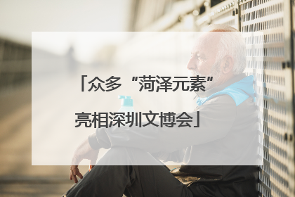 众多“菏泽元素”亮相深圳文博会