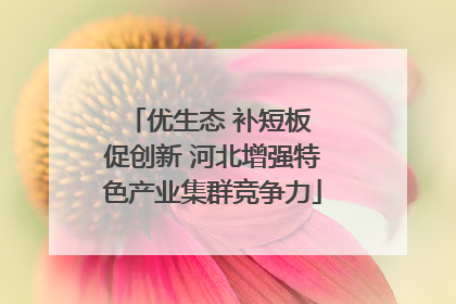 优生态 补短板 促创新 河北增强特色产业集群竞争力