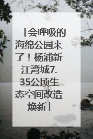 会呼吸的海绵公园来了！杨浦新江湾城7.35公顷生态空间改造焕新