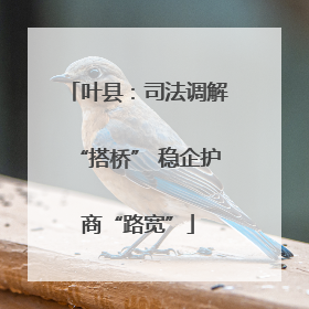 叶县：司法调解“搭桥” 稳企护商“路宽”