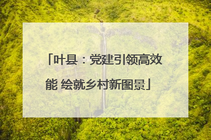 叶县：党建引领高效能 绘就乡村新图景