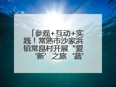 参观+互动+实践！常熟市沙家浜镇常昆村开展“爱‘新’之旅‘蔬’适生活”参观学习活动