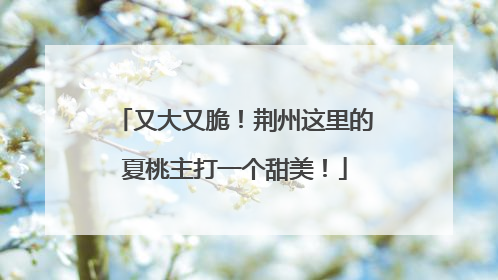 又大又脆！荆州这里的夏桃主打一个甜美！