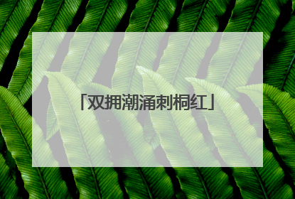 双拥潮涌刺桐红
