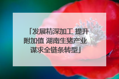 发展精深加工 提升附加值 湖南生猪产业谋求全链条转型