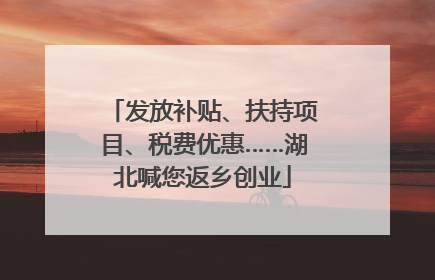 发放补贴、扶持项目、税费优惠……湖北喊您返乡创业