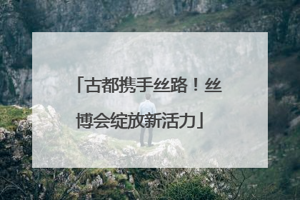 古都携手丝路！丝博会绽放新活力