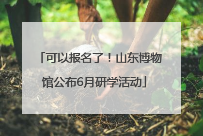 可以报名了！山东博物馆公布6月研学活动