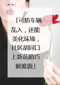 可防车辆乱入，还能美化环境，社区胡同口上新花箱巧解难题