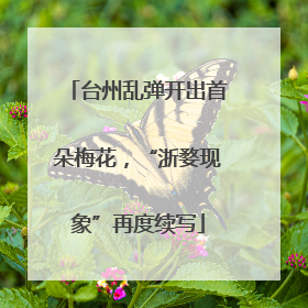 台州乱弹开出首朵梅花，“浙婺现象”再度续写
