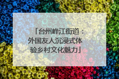 台州峰江街道：外国友人沉浸式体验乡村文化魅力