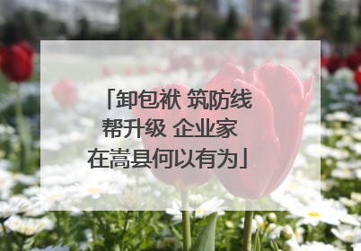 卸包袱 筑防线 帮升级 企业家在嵩县何以有为