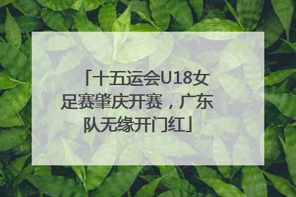 十五运会U18女足赛肇庆开赛，广东队无缘开门红