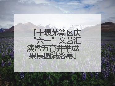 十堰茅箭区庆“六一”文艺汇演暨五育并举成果展圆满落幕