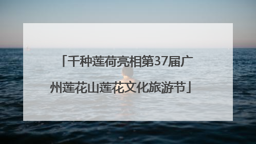 千种莲荷亮相第37届广州莲花山莲花文化旅游节