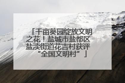千亩葵园绽放文明之花！盐城市盐都区盐渎街道花吉村获评“全国文明村”