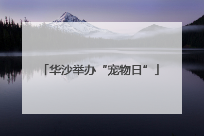 华沙举办“宠物日”