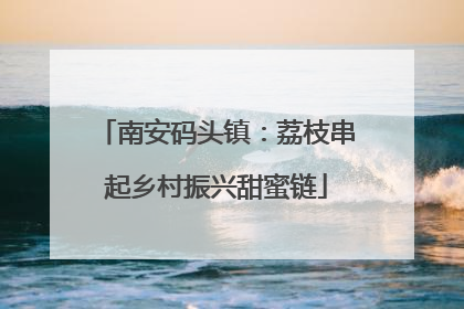南安码头镇：荔枝串起乡村振兴甜蜜链