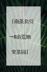 南茶北引→8亩荒地变茶园