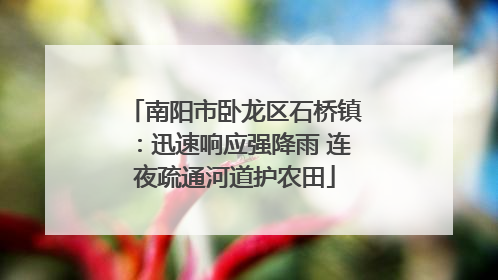 南阳市卧龙区石桥镇：迅速响应强降雨 连夜疏通河道护农田