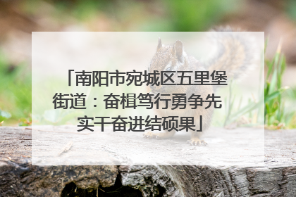 南阳市宛城区五里堡街道：奋楫笃行勇争先 实干奋进结硕果