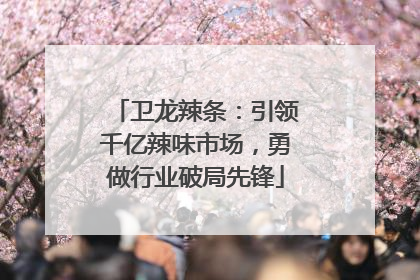 卫龙辣条：引领千亿辣味市场，勇做行业破局先锋
