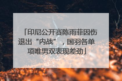 印尼公开赛陈雨菲因伤退出“内战”，国羽各单项唯男双表现差劲