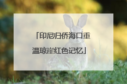 印尼归侨海口重温琼崖红色记忆