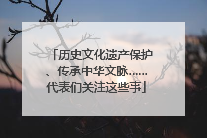 历史文化遗产保护、传承中华文脉……代表们关注这些事