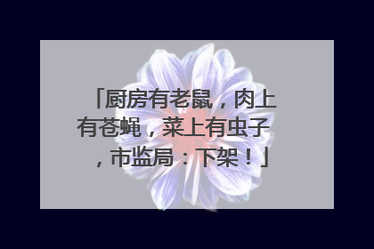 厨房有老鼠，肉上有苍蝇，菜上有虫子，市监局：下架！