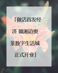 做活首发经济 赣湘边奥莱数字生活城正式开业