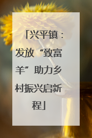 兴平镇：发放“致富羊”助力乡村振兴启新程