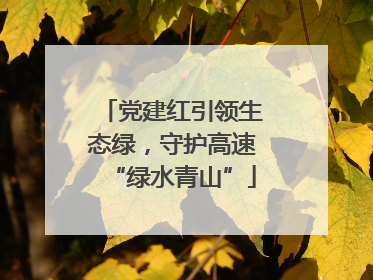 党建红引领生态绿，守护高速“绿水青山”