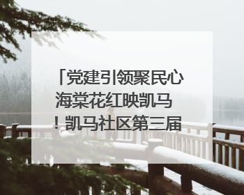党建引领聚民心 海棠花红映凯马！凯马社区第三届邻里生活节谱写幸福新篇章