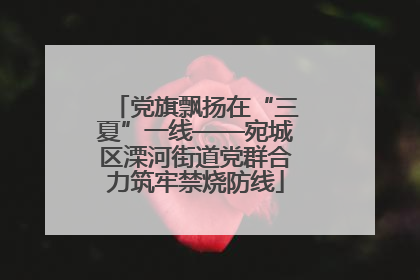 党旗飘扬在“三夏”一线——宛城区溧河街道党群合力筑牢禁烧防线