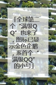 全球第二个“满级QQ”也来了，图标已显示金色企鹅，系首个“满级QQ”的小号