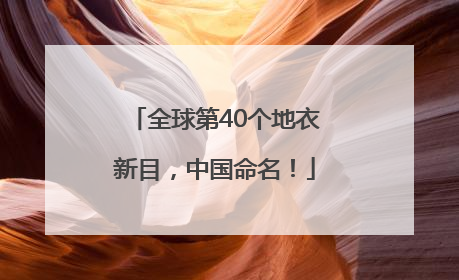 全球第40个地衣新目，中国命名！