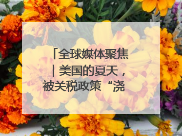 全球媒体聚焦｜美国的夏天，被关税政策“浇灭”了热情