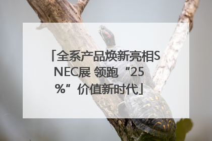 全系产品焕新亮相SNEC展 领跑“25%”价值新时代