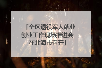 全区退役军人就业创业工作现场推进会在北海市召开