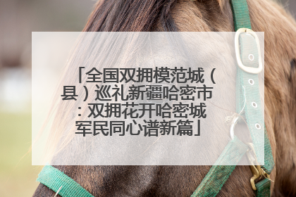 全国双拥模范城（县）巡礼新疆哈密市：双拥花开哈密城 军民同心谱新篇