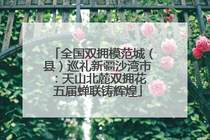 全国双拥模范城（县）巡礼新疆沙湾市：天山北麓双拥花 五届蝉联铸辉煌